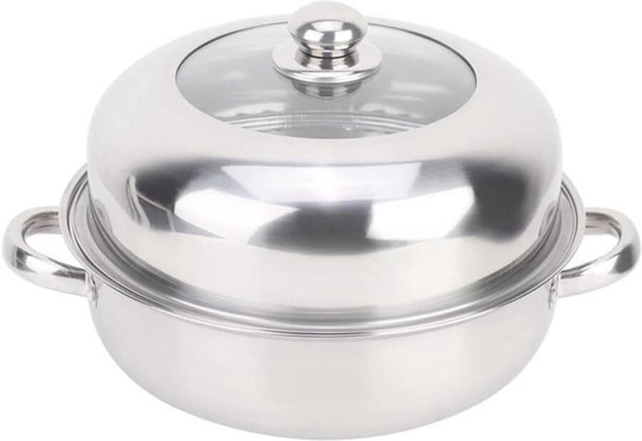 Stoompan Soeppan Kookpan Gezond Koken Roestvrij Staal 28 cm Zilver