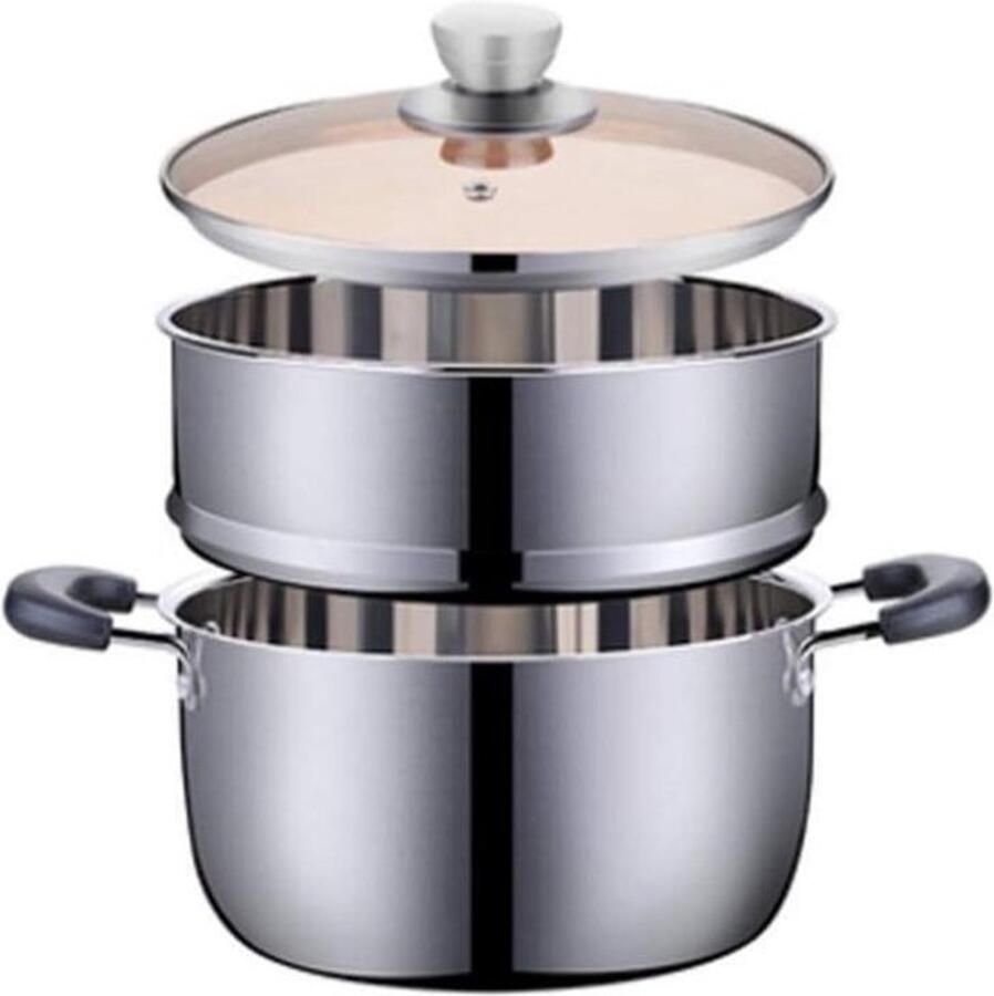 Stoompan van roestvrij staal Soep- en stoofpan Gezond koken Verdikte bodem 24 cm Zilver