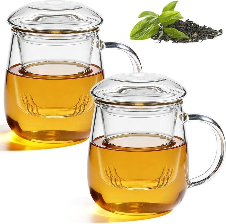 Theeglas all in one set van 2 350 ml theekopje met zeef en deksel van glas een ideale theemaker theeglazen met handvat
