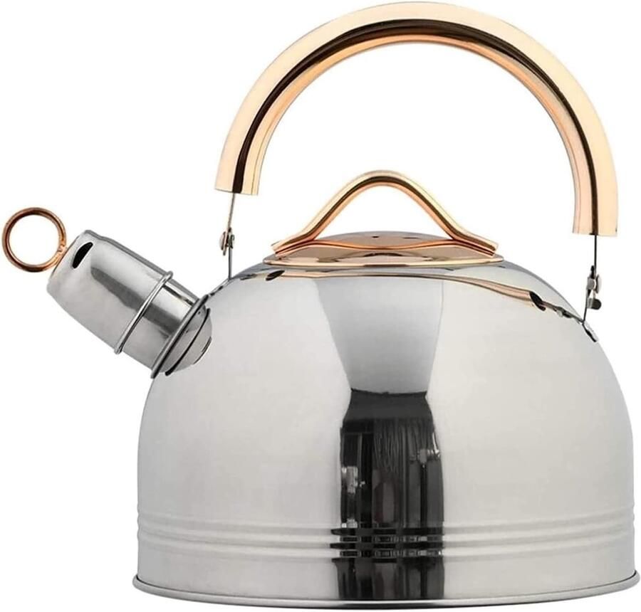 Theeketel Fluitketel Waterkoker RVS Water Koken Automatisch Fluitapparaat 3 Liter Blauw