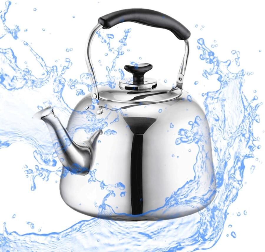 Theeketel met Infuser Roestvrij staal Water Koken Fluitende Tuit 10L Zilver