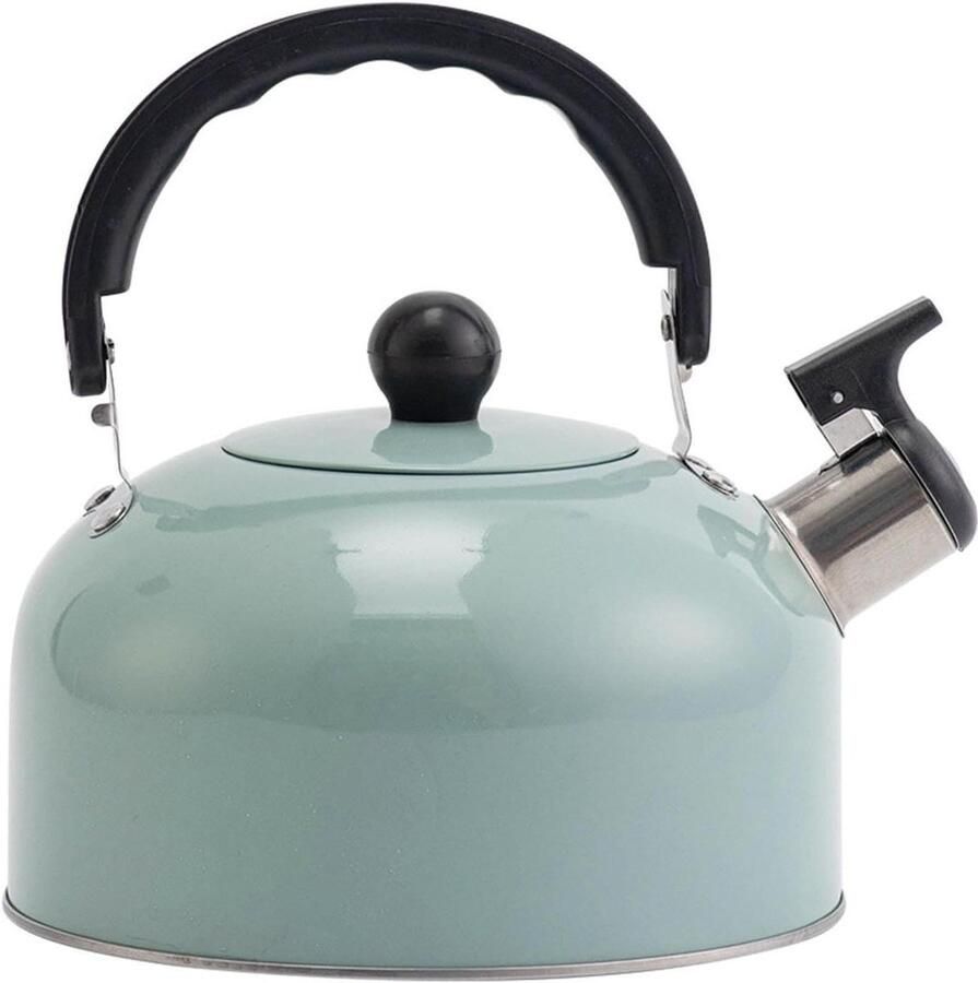 Theeketel Roestvrij Staal Fluitketel Waterkoker Water Koken Anti-verbranding Handvat 3 Liter Groen