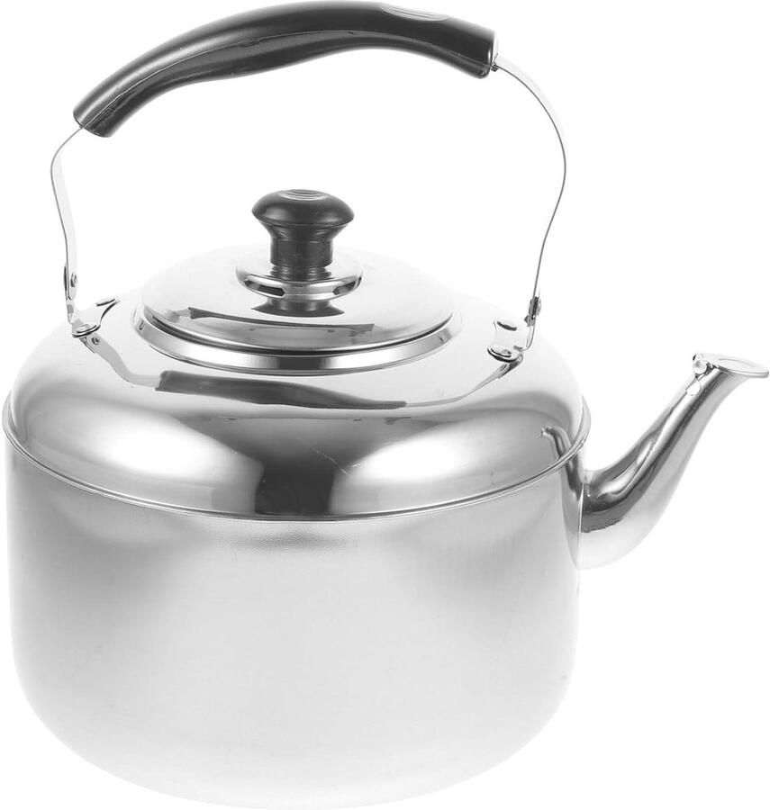 Theeketel Roestvrij Staal Waterketel Fluitketel Water Koken Cool-touch Handvat 5.5 Liter Zilver