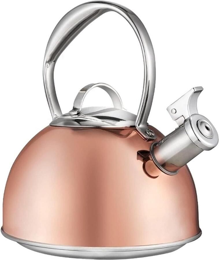 Theeketel Roestvrij Staal Waterketel Kookplaat Water Koken Met Fluitfunctie 3L Capaciteit Wit