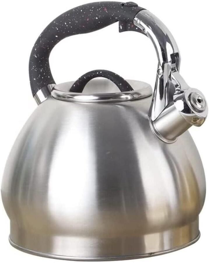 Theeketel Roestvrij Staal Waterkoker Fluitketel Water Koken Snelle Warmteverdeling 35 liter Zilverkleurig