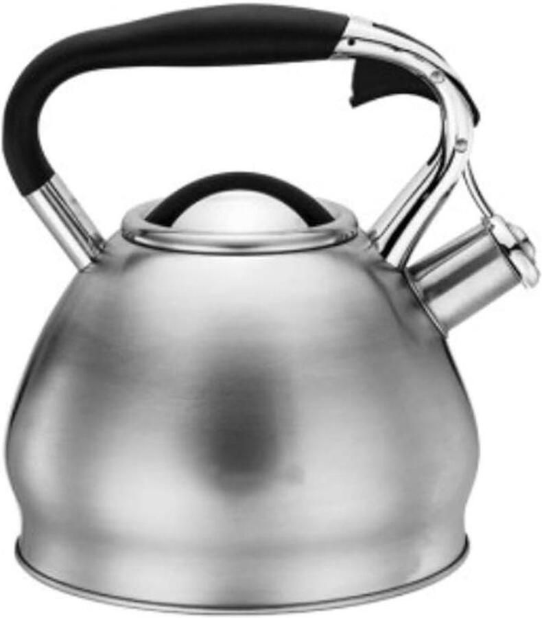 Theeketel Roestvrij Staal Waterkoker Fornuis Water Koken Fluitend Geluid 3L Zilver