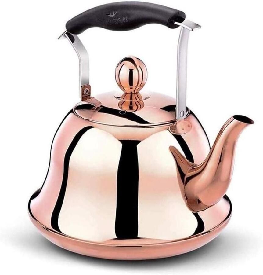 Theeketel Roestvrij Waterkoker Fluitend Warme Dranken Maken Titanium Gecoat 6 Liter Regenboog