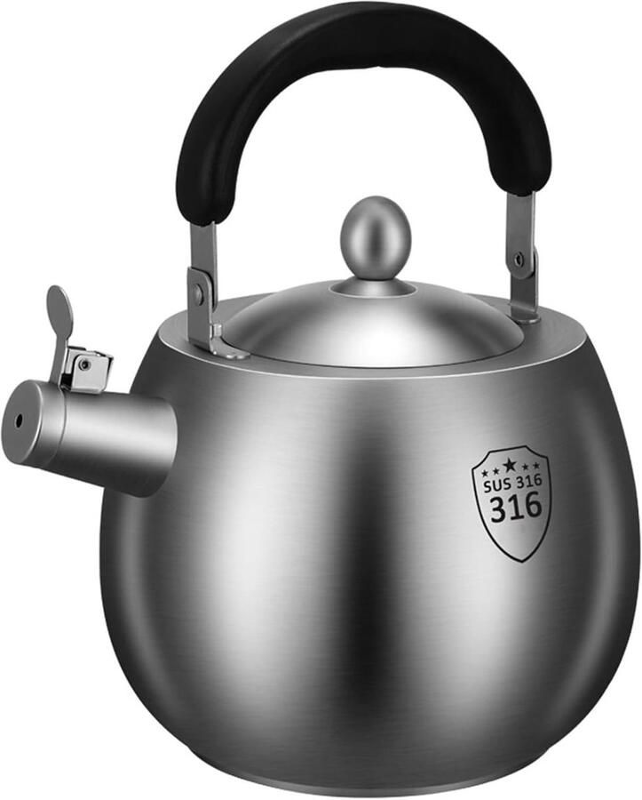 Theeketel Roestvrijstaal Waterkoker Fluitend Water Koken Ergonomisch Handvat 42 Liter Zilver