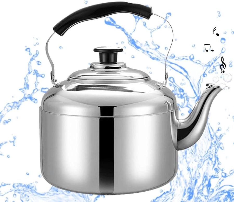 Theeketel RVS Waterketel Fluitend Water Koken Inklapbare Handgreep 10L Capaciteit Zilver