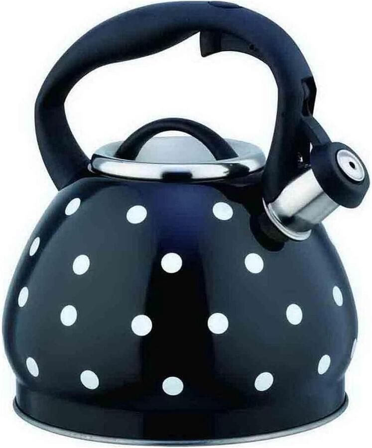 Theeketel RVS Waterketel Fornuis Thee Zetten Luid Fluitje 3 Liter Zwart