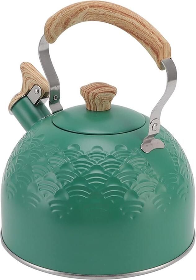 Theepot Gasfornuis Gunstig Patroon Geluidspot Roestvrijstalen