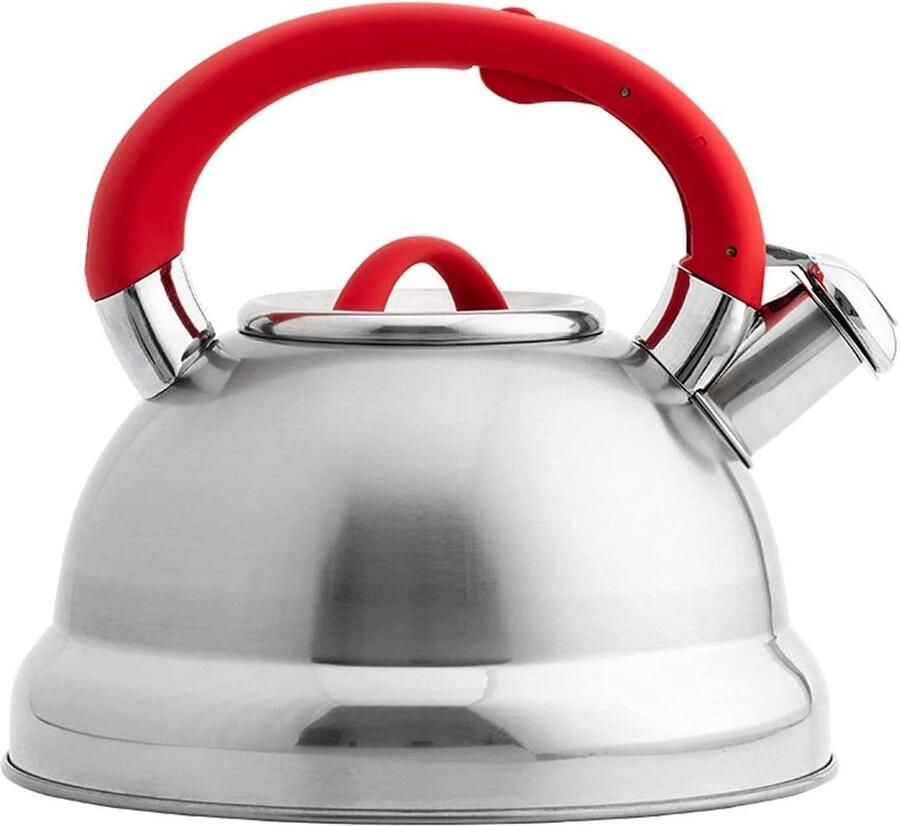 Theepot Ketel Waterkoker Fluitketel Koken Water Zacht Handvat 3 Liter Zilver