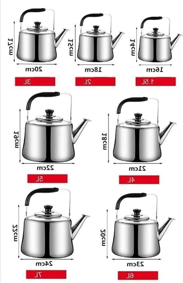 Theepot Kookplaat Waterketel Roestvrij Water Koken Geschikt voor Inductie 4 Liter Zilver