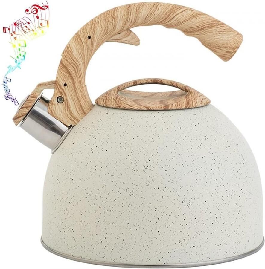 Theepot met Handvat Waterkoker RVS Water Koken Fluit bij Kookpunt 4 Quarts Zilverkleurig