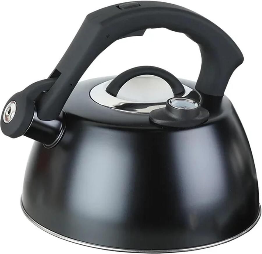 Theepot Roestvrij Staal Waterkoker Fluitketel Water Koken Met Thermometer 3.5L Zwart