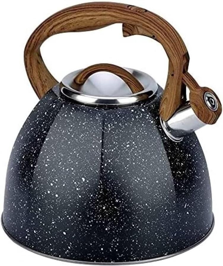 Theepot RVS Waterkoker Fluitend Water Koken Ergonomische Handgreep 4 Liter Zwart