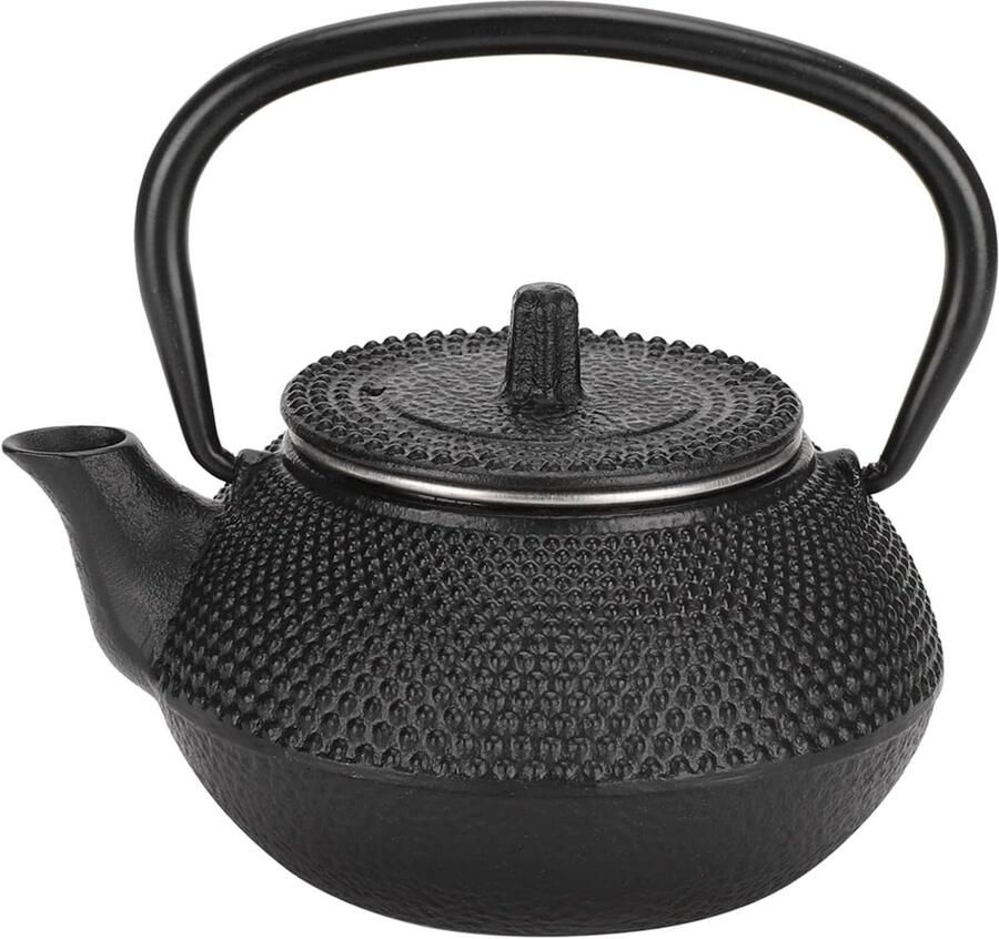 Theepot van gietijzer theemachine waterkoker in Japanse stijl theekoker theefilter met zeef 300 ml