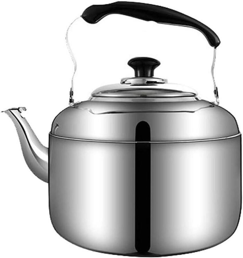 Theepot Waterkoker Kookpan Theemachine Water Koken Roestvrij Staal 3L Zilver