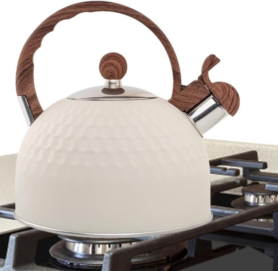 Waterkoker Roestvrij Staal Theeketel Fluitketel Water Verwarmen Grote Inhoud 2.5L 19x19x20 cm Zilver