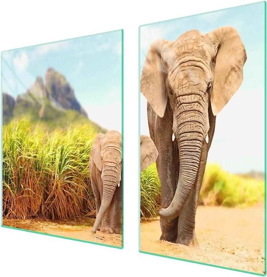 Universele Afdekplaat Set Fornuis Beschermer Keuken Werkblad Gehard Glas Krasvast 100x52 cm Veelkleurig