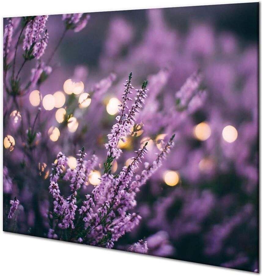 Universele Afdekplaat Snijplank Kookplaat Keuken Beschermen Hittebestendig Glas 60 x 52 cm Transparant