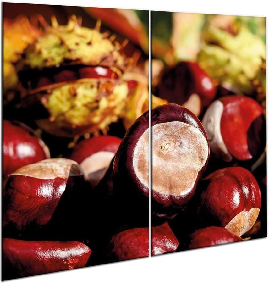 Universele Afdekplaat Snijplank Kookplaat Werkblad Beschermen Gehard Glas 60 x 52 cm Transparant