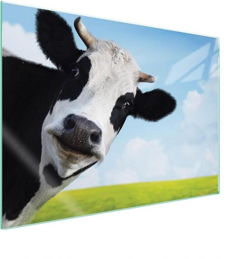 Universele Glas Plaat voor Kookplaat (70x52 cm) Spatwand Snijplank & Onderzetter - Foto 1