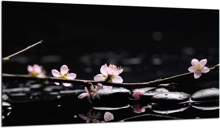 Universele Glasplaat voor Keramische Kookplaat 90x52 cm Bescherming en Decoratie