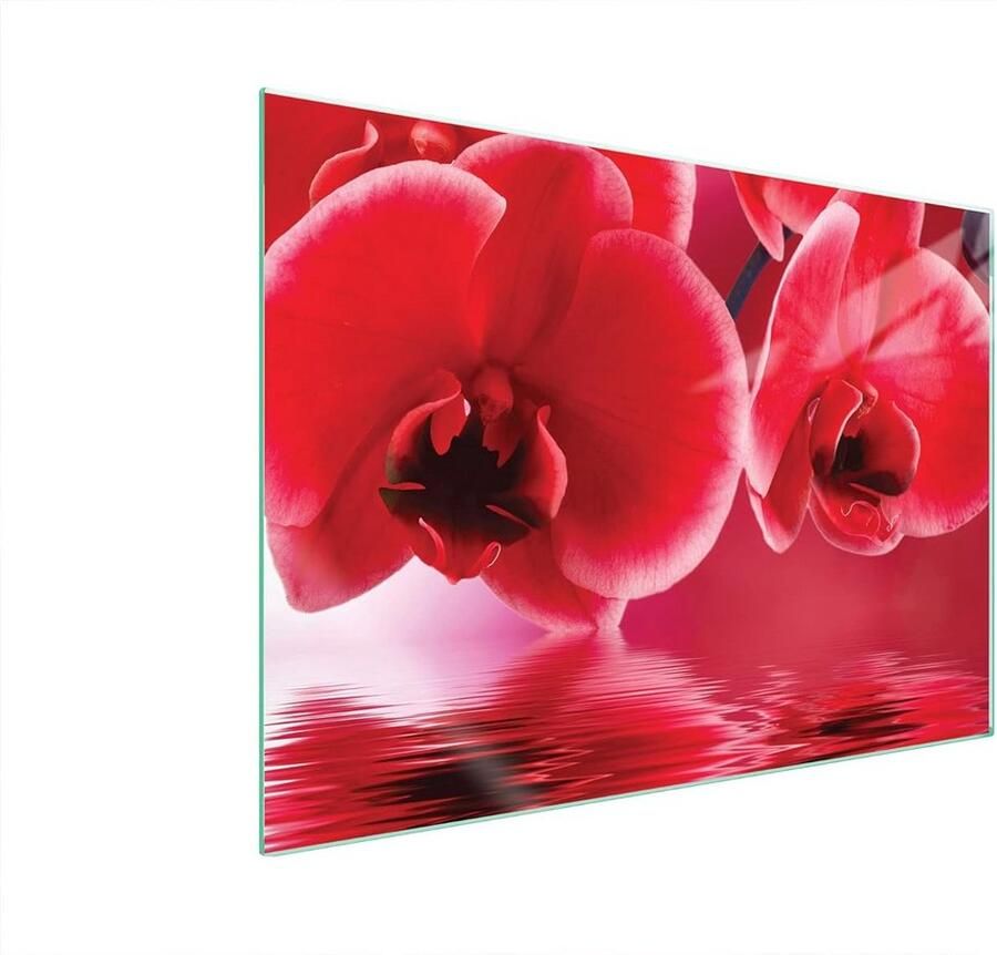 Universele Glazen Afdekplaat 70x52 cm voor Keramische Inductie en Elektrische Kookplaten Spatbescherming & Snijplank