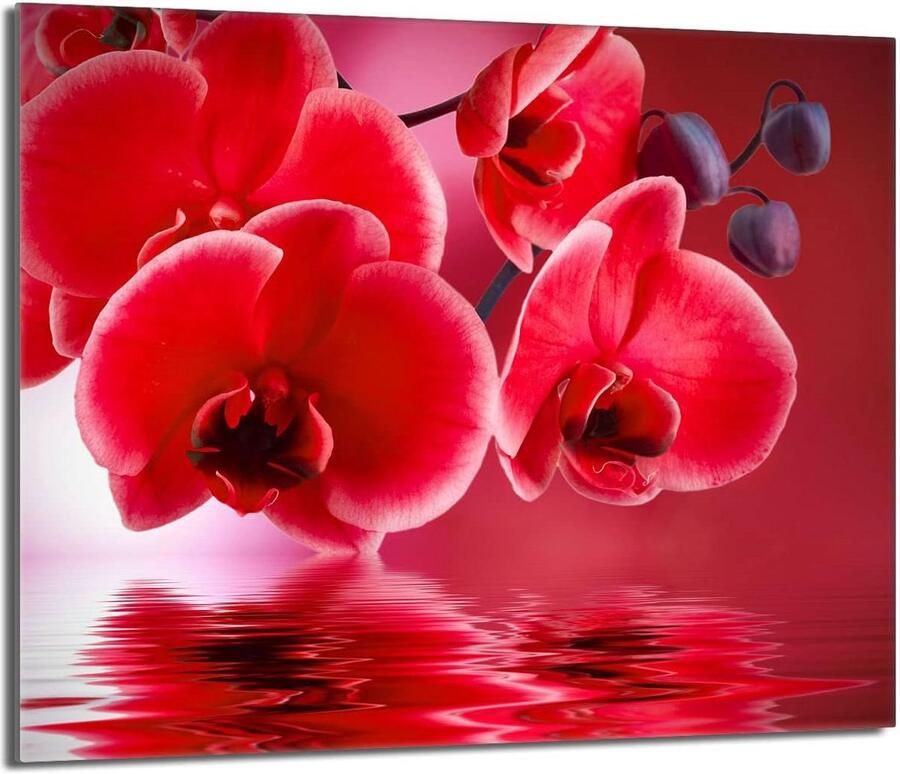 Universele Glazen Dekplaat voor Keramische en Inductie Kookplaat (60x52 cm) Spatbeschermer & Snijplank