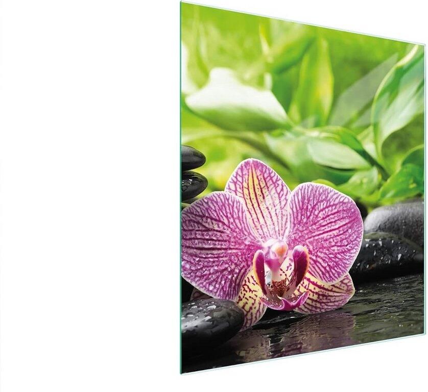 Universele Glazen Dekplaat voor Kookplaat 45x52 cm Spatbescherming en Snijplank