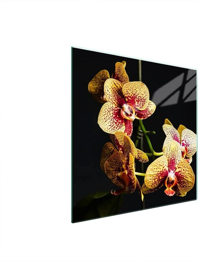Universele Glazen Kookplaat Afdekplaat 50x52 cm Snijplank Spatwand en Hittebestendige Onderzetter