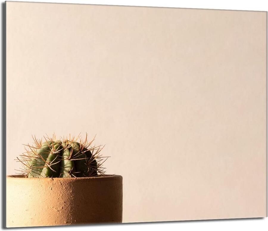 Universele Glazen Kookplaat Afdekplaat 60x52 cm Snijplank Spatbescherming & Hittebestendig