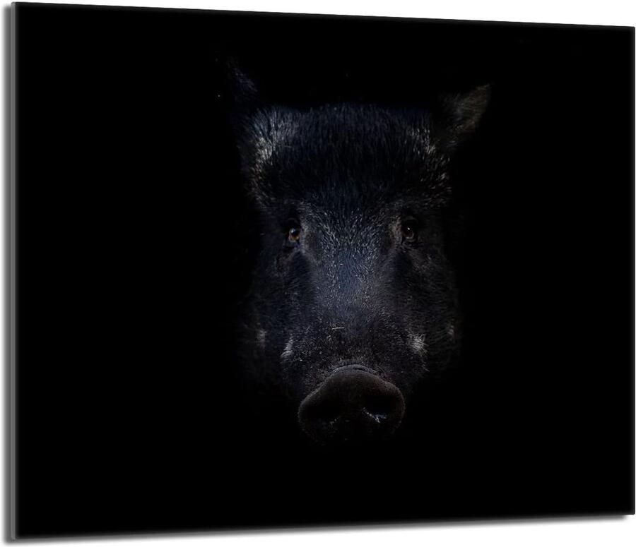 Universele Glazen Kookplaat Afdekplaat 60x52 cm Snijplank Spatwand & Hittebestendige Beschermer