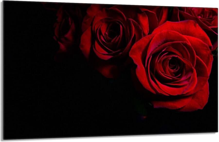 Universele Kookplaat Afdekplaat 80x52 cm Hittebestendig Glas Snijplank en Spatscherm