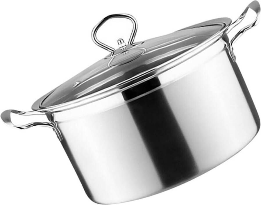 Universele Roestvrijstalen Soeppan voor Inductiekoken Energiebesparend en Krasbestendig
