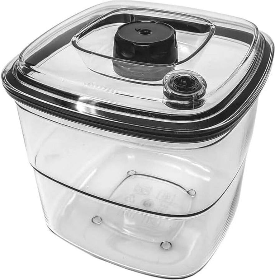 Vacuümvoedselcontainer 2 4 liter Luchtdichte voedselopslag voor magnetron en vriezer