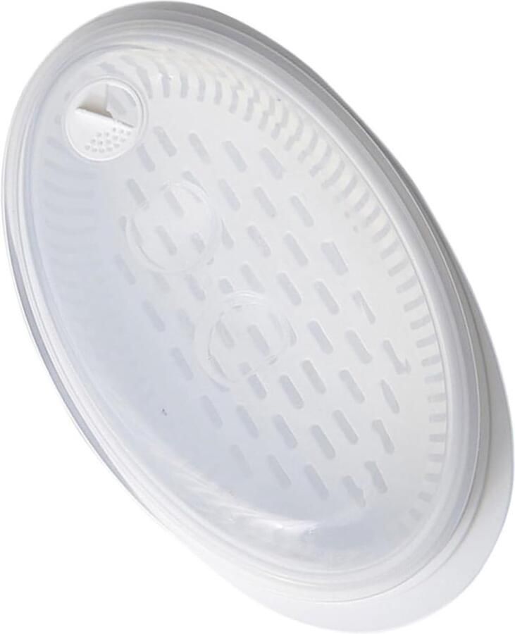 Vis Stoompan Magnetron Stoomboot Gezond Koken Met Deksel 32.7X16.8CM Transparant