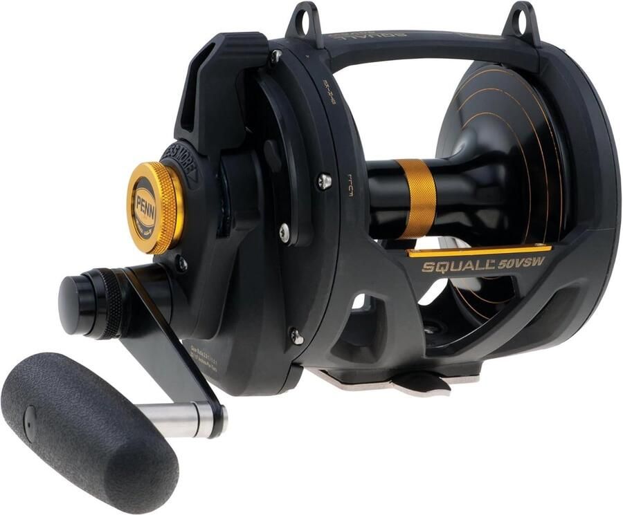 Vismolen Trolling molen Zoutwater vissen Quick Shift 2-speed Zwart