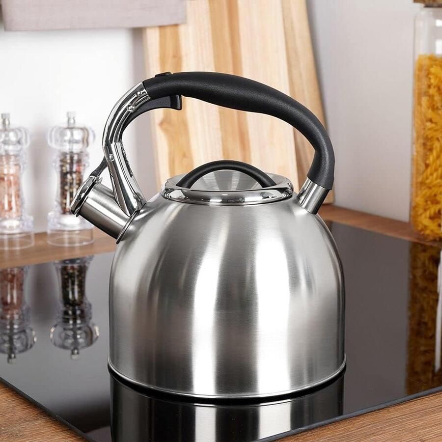 Waterketel Fluitketel Kookpan Water Koken Automatisch Tuitje 27 Liter Zilver