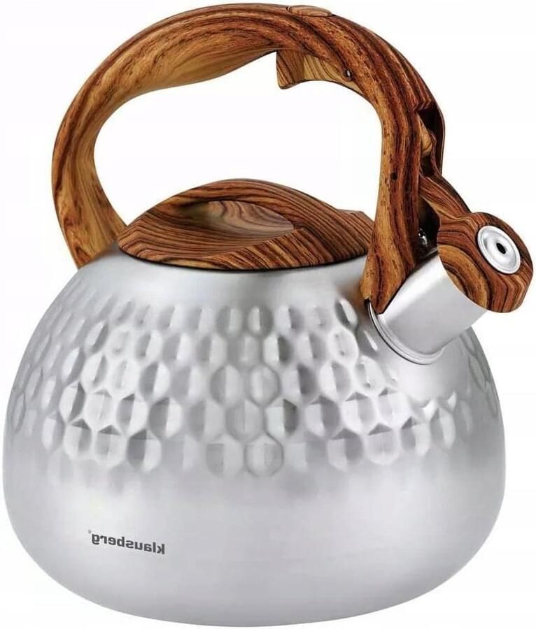 Waterketel Fluitketel Theeketel Waterkoker Water Koken Versterkte Bodem 28 Liter Inox