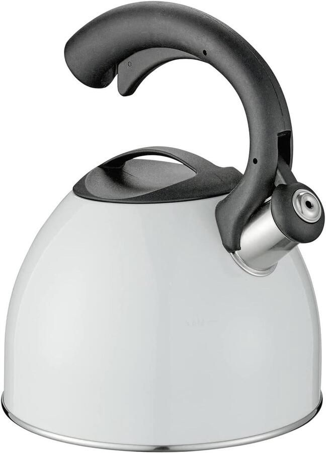 Waterketel Fluitketel Water Koken Roestvrij Staal 25 Liter Zwart