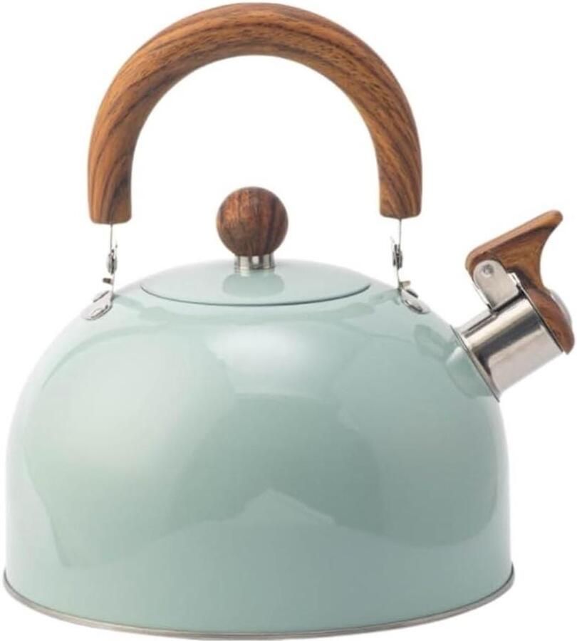 Waterketel Fornuis Theepot Fluitketel Water Koken Roestvrij Staal 3L Inhoud Groen