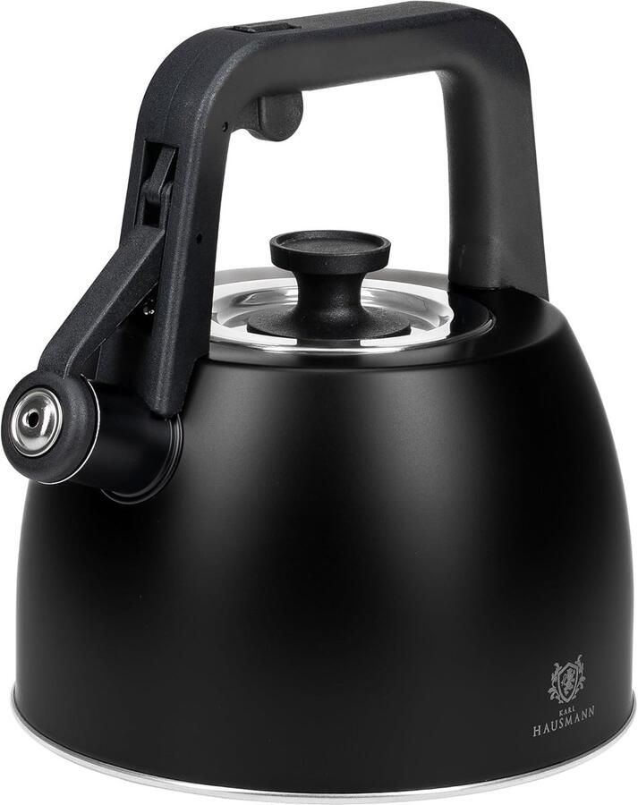 Waterketel met Fluit Theeketel RVS Snel Water Koken Geschikt voor Inductie 25 Liter Capaciteit Zwart
