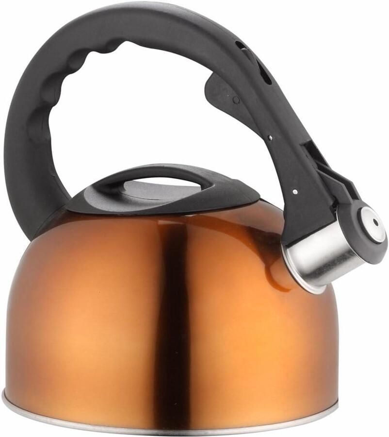 Waterketel Roestvrij Staal Fluitketel Keuken Water Koken Met Fluitje 2 Liter Zwart