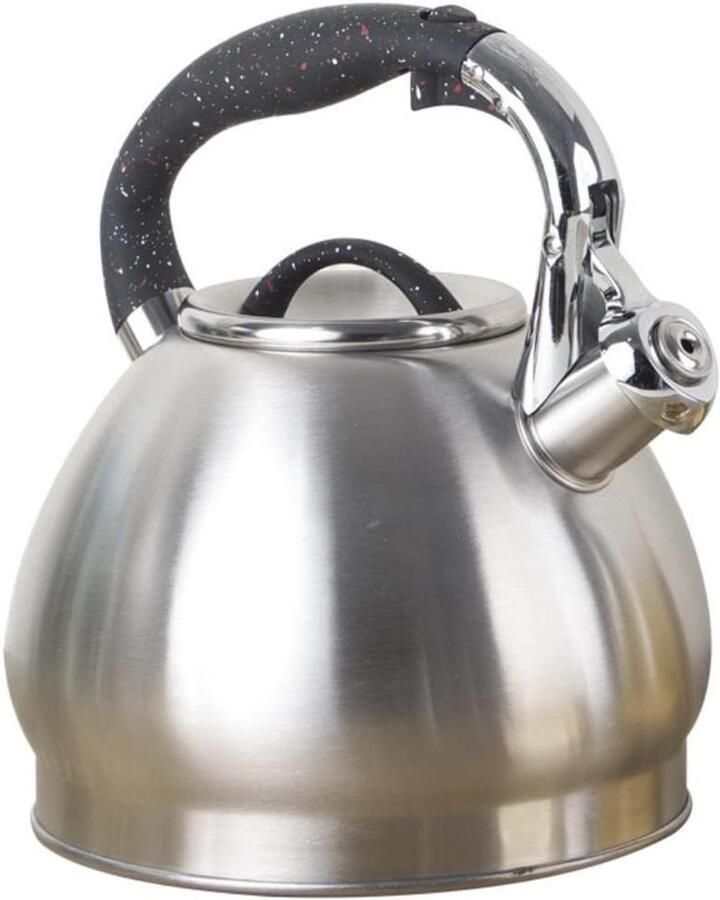 Waterketel Roestvrij Staal Theeketel Fornuis Water Koken Fluitend Bij Kookpunt 3.5 Liter Zilverkleurig