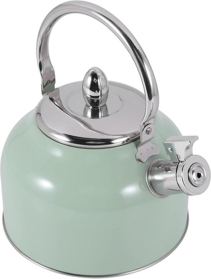 Waterketel Roestvrijstaal Kookketel Gasfornuis Water Koken Hoge Temperatuur Bestendig 25 Liter Groen