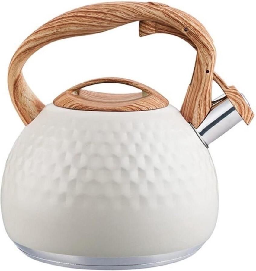 Waterketel RVS Fornuis Ketel Water Koken Luid Fluit Signaal 3 Liter Zilverkleurig
