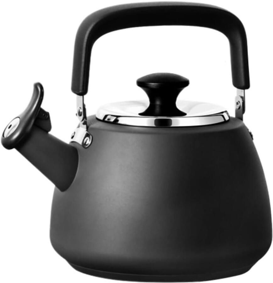 Waterketel RVS Kookketel Theepot Water Koken Gelijkmatige Verwarming 19 Liter Zwart