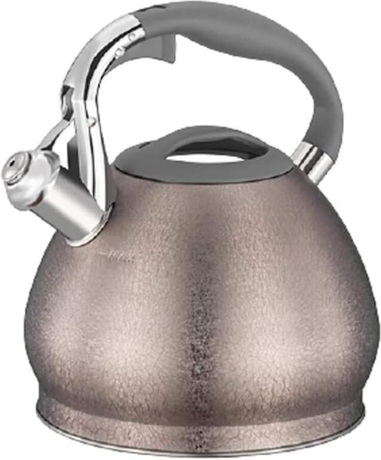 Waterkoker RVS Theepot Fluitketel Water Koken Versterkte Bodem 3 Liter Zilverkleurig